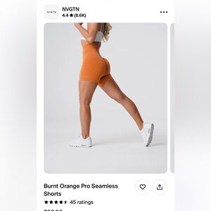 NVGTN shorts